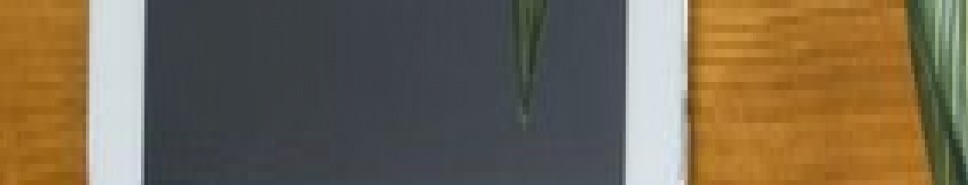 gallery/shutterstock_445232308